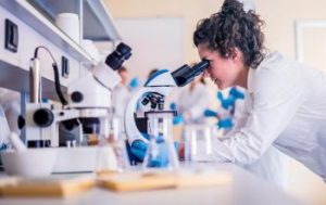 <a href="https://labohouse.com/product-category/microscopes/">Microscopes</a>